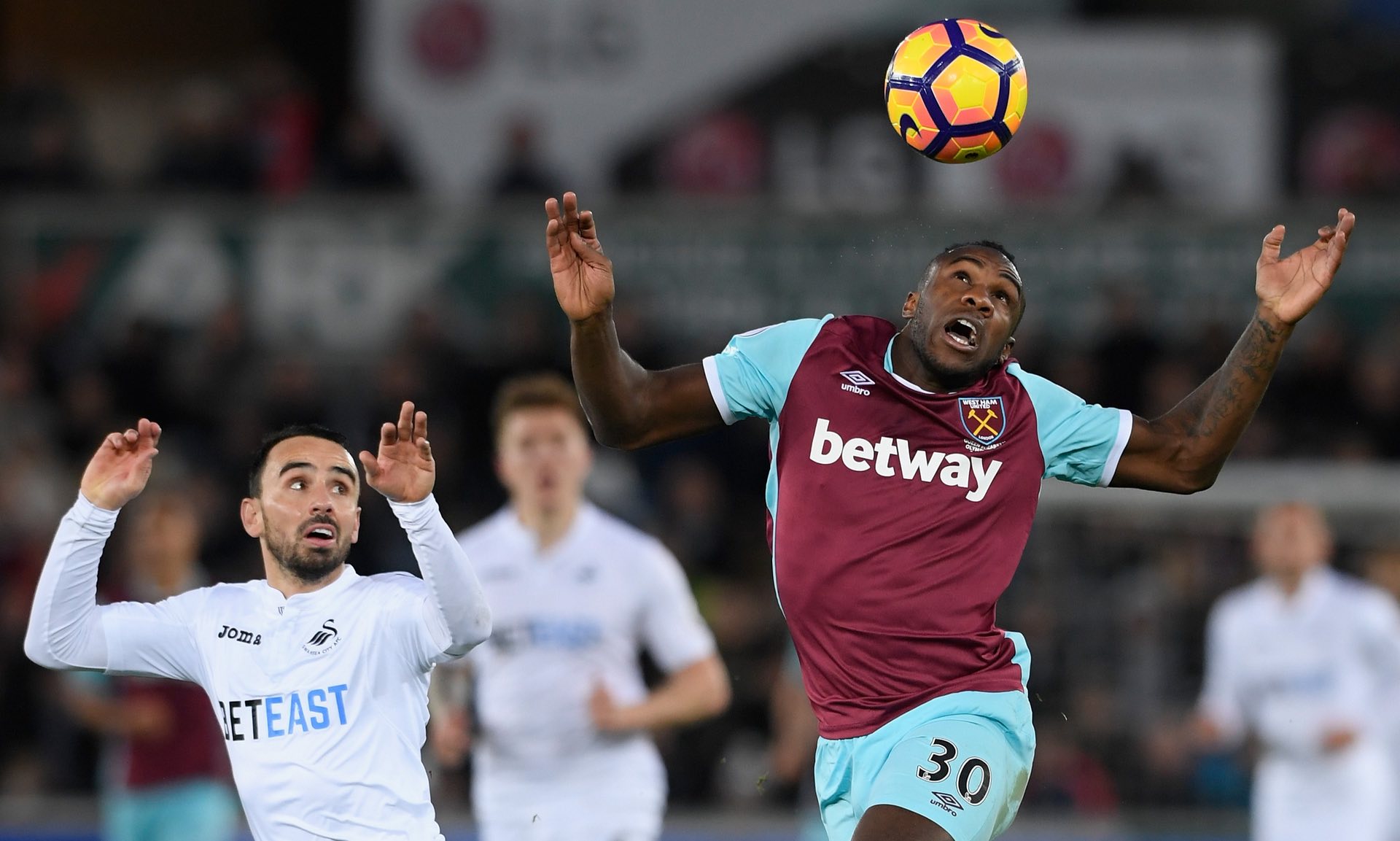 费莱尼的特 费莱尼的特